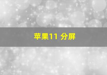 苹果11 分屏